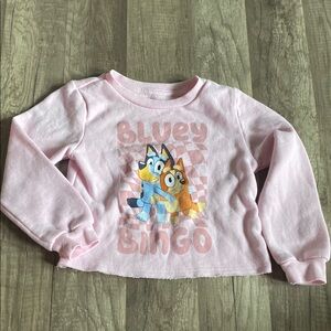 Kids Pink Long Sleeve Shirt